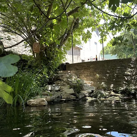 La Robina Maison * Saint-Pons-de-Thomieres